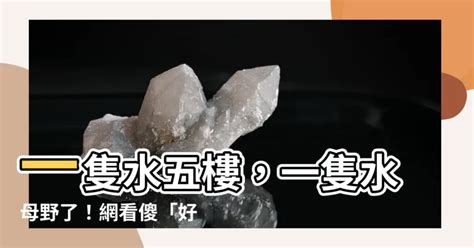 一隻水五樓|5樓一隻水新聞